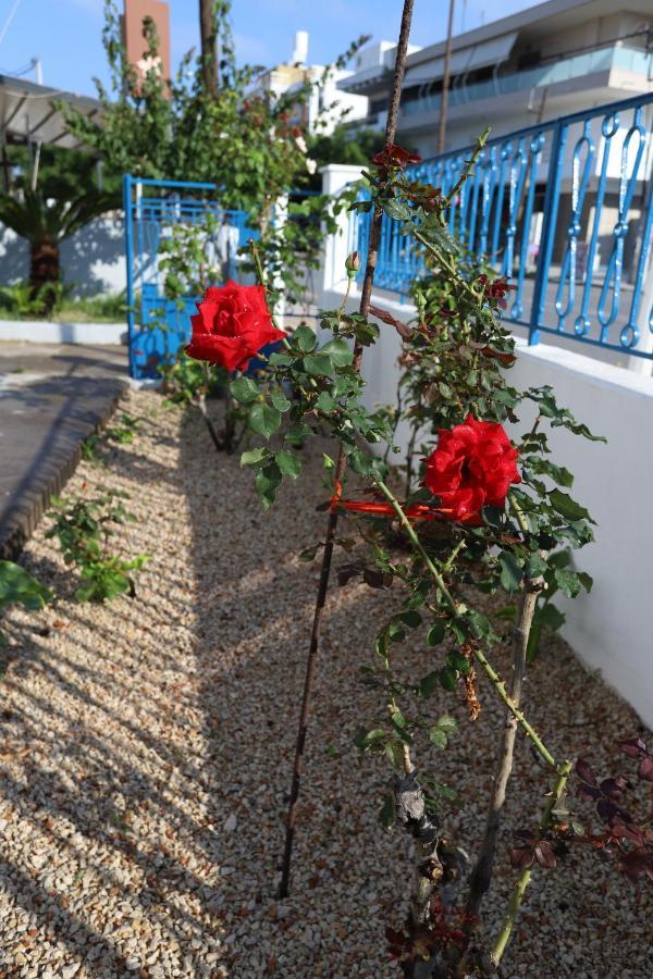 Traditional Town Garden Apartment Rhodes City Exteriör bild